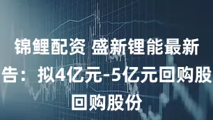 锦鲤配资 盛新锂能最新公告：拟4亿元-5亿元回购股份