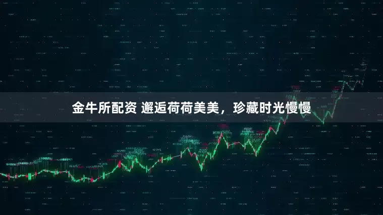金牛所配资 邂逅荷荷美美，珍藏时光慢慢
