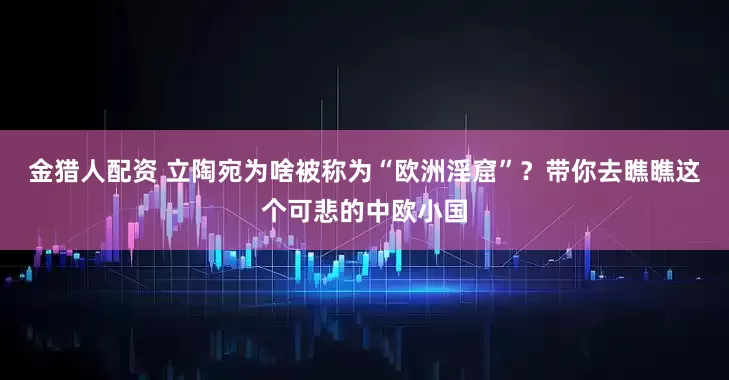 金猎人配资 立陶宛为啥被称为“欧洲淫窟”？带你去瞧瞧这个可悲的中欧小国
