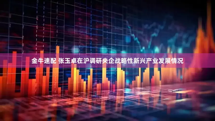 金牛速配 张玉卓在沪调研央企战略性新兴产业发展情况
